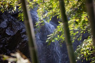 《都市传说解体中心》Steam试玩发布 灵异冒险调查